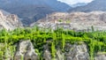 The Aryan valley, Batalik sector, Ladakh, India Royalty Free Stock Photo