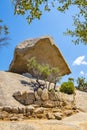 Arzachena, Sardinia, Italy - Prehistoric granite Mushroom Rock - Roccia il Fungo - of neolith Nuragic period, symbol of Arzachena