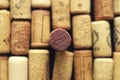ARZAMAS,RUSSIA-FEBRUARY,2021:Wine corks made of wood from expensive wines Royalty Free Stock Photo
