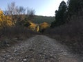 As autumn arrives, the scenery in the mountains becomes even more beautiful