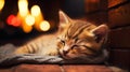 Cozy Nights: A Sweet and Serene Scene of a Sleeping Kitten by th