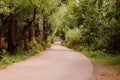 A spiral village road.