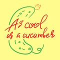 As cool as a cucumber - handwritten funny motivational quote. American slang