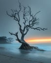 Mystical Morning: Capturing the Serenity of a Foggy Beach with a