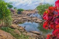 Blossoming Beauty: Waterfall and Flowers at the Spring of the Nile River, Uganda