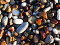 As if a blanket, so on the seashore looks like pebbles washed by the sea wave and illuminated by the setting sun.