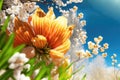 Beautiful Warm weather Spring Season, popular or the most searched in stock photos.