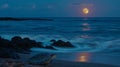 As the moon slowly sets in the horizon a lone sea turtle makes its way back to the ocean. Its instinctual return to the