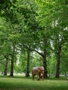 A realistic sculpture of a large solitary elephant wandering through a part