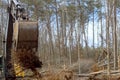 As result of tree uprooting operation using an excavator, a worker prepares ground to be used for construction house in Royalty Free Stock Photo