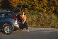 As she sits in the trunk of her car, a woman enjoys the sunshine as it beams down on her