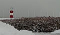 Winter wonderland on Plymouth Hoe