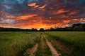 Dirt road through the field at sunset. Beautiful summer landscape.