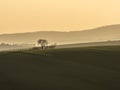 Evening Mist across the hills