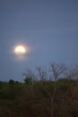 Hazy New Full Moon at dusk Royalty Free Stock Photo
