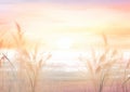 Whispers of Spring: A Dreamy Sunset on the Hazy Beach Royalty Free Stock Photo