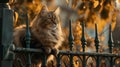 a fairytale-like garden, a cute long-haired cat perches on a vintage wrought-iron fence, its fur glistening in the warm sunlight