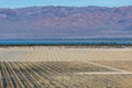 Red Hill Bay habitat restoration project at Salton Sea Royalty Free Stock Photo