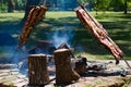 Asado, traditional barbecue dish in Argentina, roasted meat cooked on a crossed vertical grills Royalty Free Stock Photo