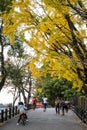 Asagiri Street Along Uji River Scenery