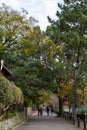 Asagiri Street Along Uji River Scenery