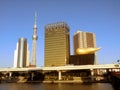 Asahi Beer Hall, Asahi Flame, Flamme d'Or, Tokyo Skytree, Sumida River, Tokyo, Japan