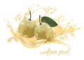 Asain pear in splash,vector illusration