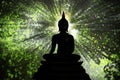 Asalha Puja Day, Silhouette Buddha statue ,The sun shines through the leaves in the forest.,Sacred fig leaf Royalty Free Stock Photo