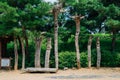 Jangseung, Korean traditional totem pole with green trees at Asan Oeam Folk Village