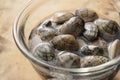 Asari clams in a glass bowl Royalty Free Stock Photo