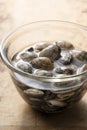 Asari clams in a glass bowl Royalty Free Stock Photo