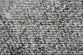 Asbestos slate concrete texture covered with lichen and moss, industrial material natural cement, close-up Royalty Free Stock Photo