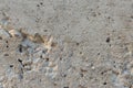 Asbestos slate texture concrete, industry material natural cement Royalty Free Stock Photo