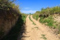 Ascending dirt road Royalty Free Stock Photo