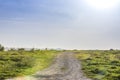 Ascending dirt road in green meadow with blue sky Royalty Free Stock Photo