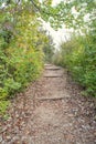 Hiking Trail in Nature Reserve Royalty Free Stock Photo