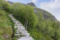 Ascending stone steps carve a path through verdant foliage on the Reinebringen trail, Lofoten, Norway Royalty Free Stock Photo