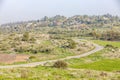 Ascending winding road between fields and grove