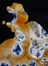 Ascorbic acid crystals closeup Royalty Free Stock Photo