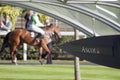 Ascot race event