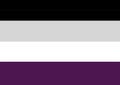 Asexual Flag. Symbol or emblem of asexual people, man and woman.