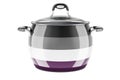 Asexuality flag painted on the stainless steel stock pot. 3D rendering