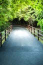 Asfalt road bridge pathway