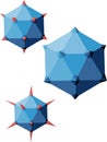 Icosahedral virion