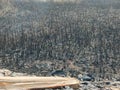 Ash from burning rice fields Royalty Free Stock Photo