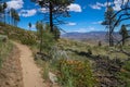 Ash Canyon Trail overlooking Carson City