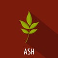 Ash leaf icon, flat style Royalty Free Stock Photo