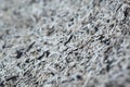 Ash Macro shot at Rice Mill Royalty Free Stock Photo