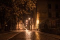 Ash on the night street of Vyborg Royalty Free Stock Photo