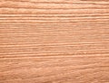Ash royal light.Fine image of natural wood texture background.